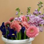 Букет из минигербер, ириса и маттиолы — купить с доставкой | Garden Paradise.