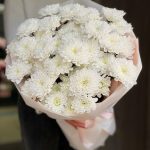 Хризантема кустовая
